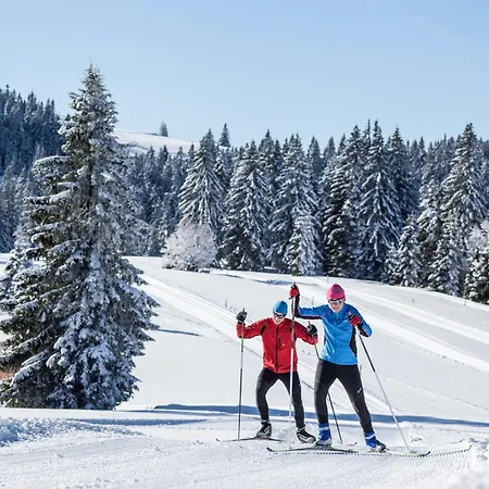 Sope Skylodge 04 - Elmend's Wellnessoase -mit Privater Sauna - Oberried, Schauinsland, Feldberg