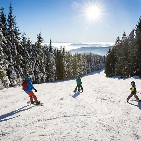 Sope Skylodge 04 - Elmend's Wellnessoase -mit Privater Sauna - Oberried, Schauinsland, Feldberg *